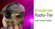 Kreatives Radio-Tier sucht neues Rudel